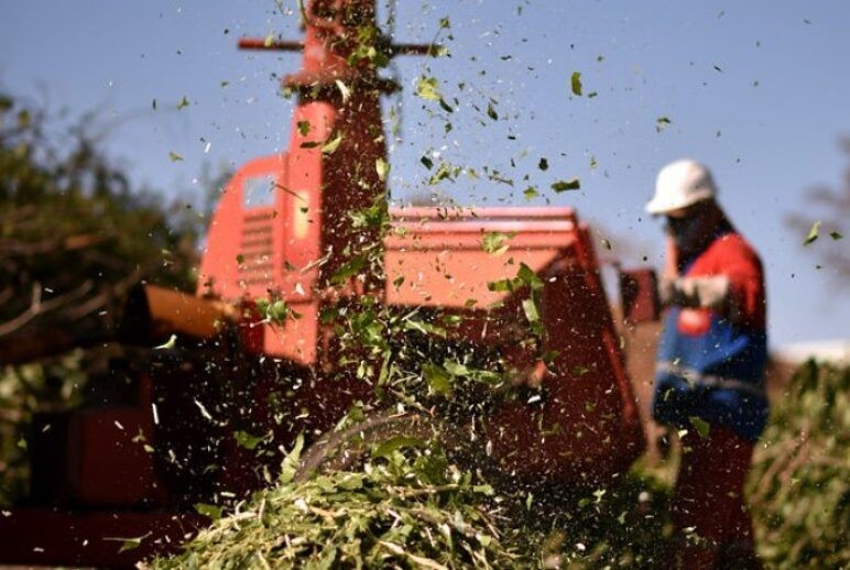 Foto de limpeza de entulhos e galhos